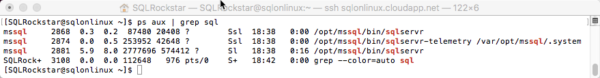 SQL Server vNext on Linux grep ps